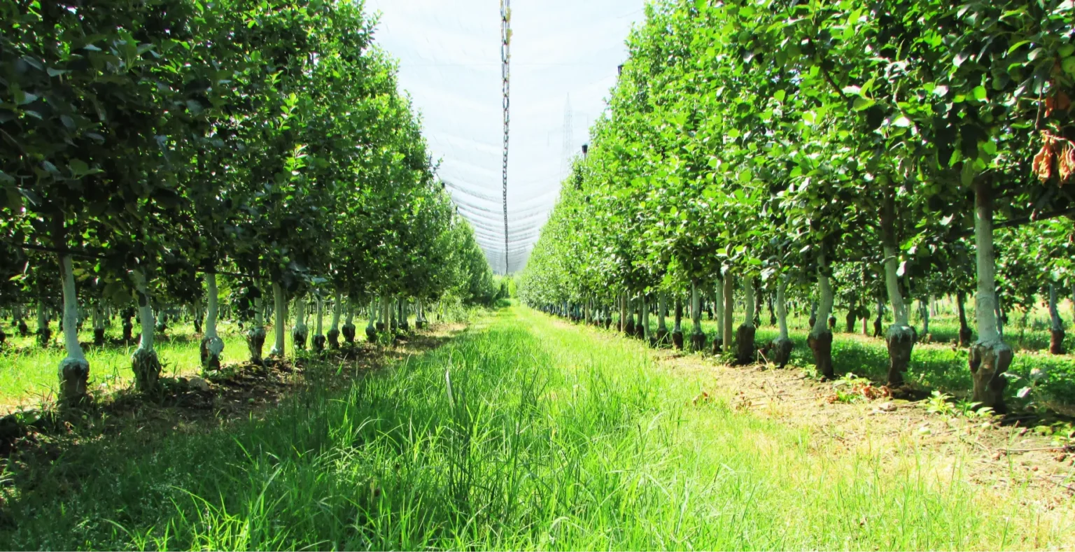 intro-1-3670x2753 (1)